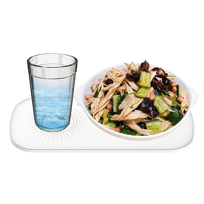 Intelligent Thermostatic Food Warmer Hot Plate