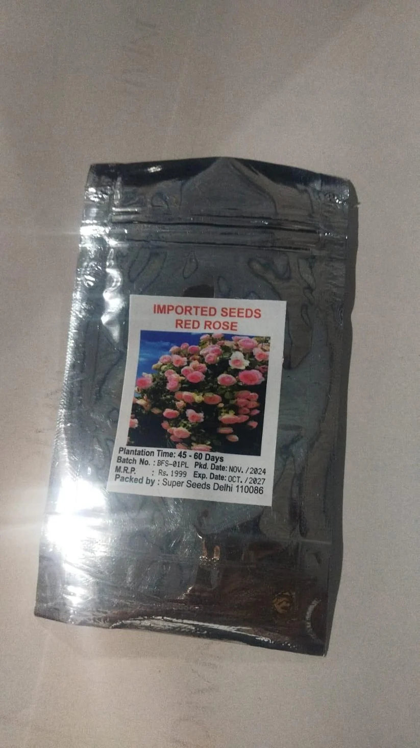 Japanese Climbing Rose Flower Seeds🌹🌸