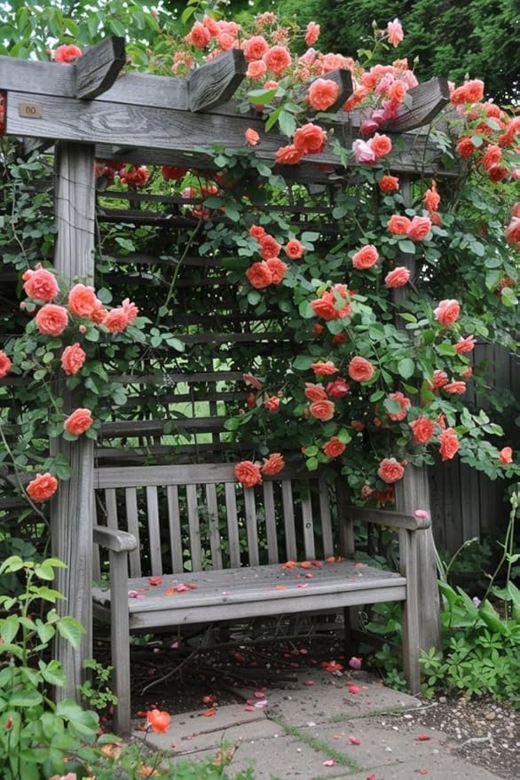 Japanese Climbing Rose Flower Seeds🌹🌸