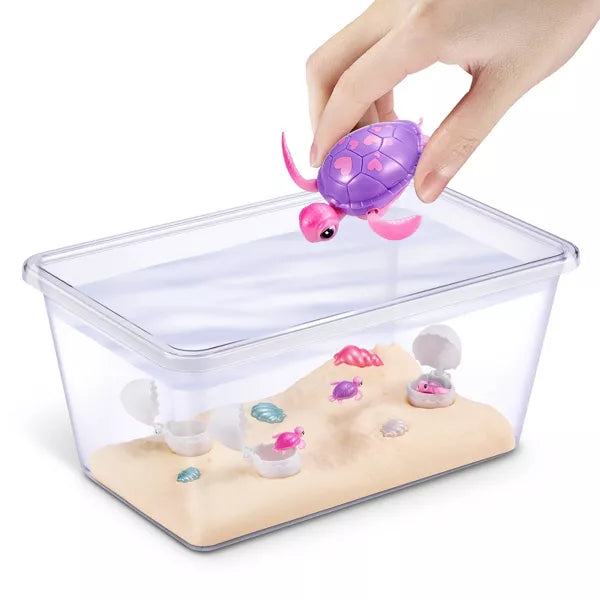 Baby Turtle Beach Surprise