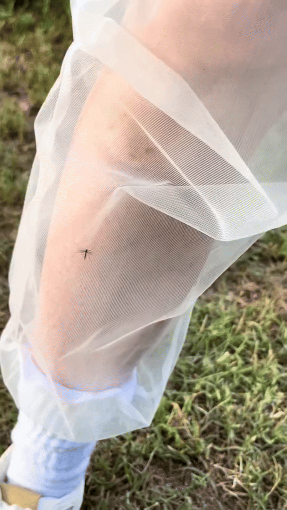 Full Body Bug Repellent Mesh Suit