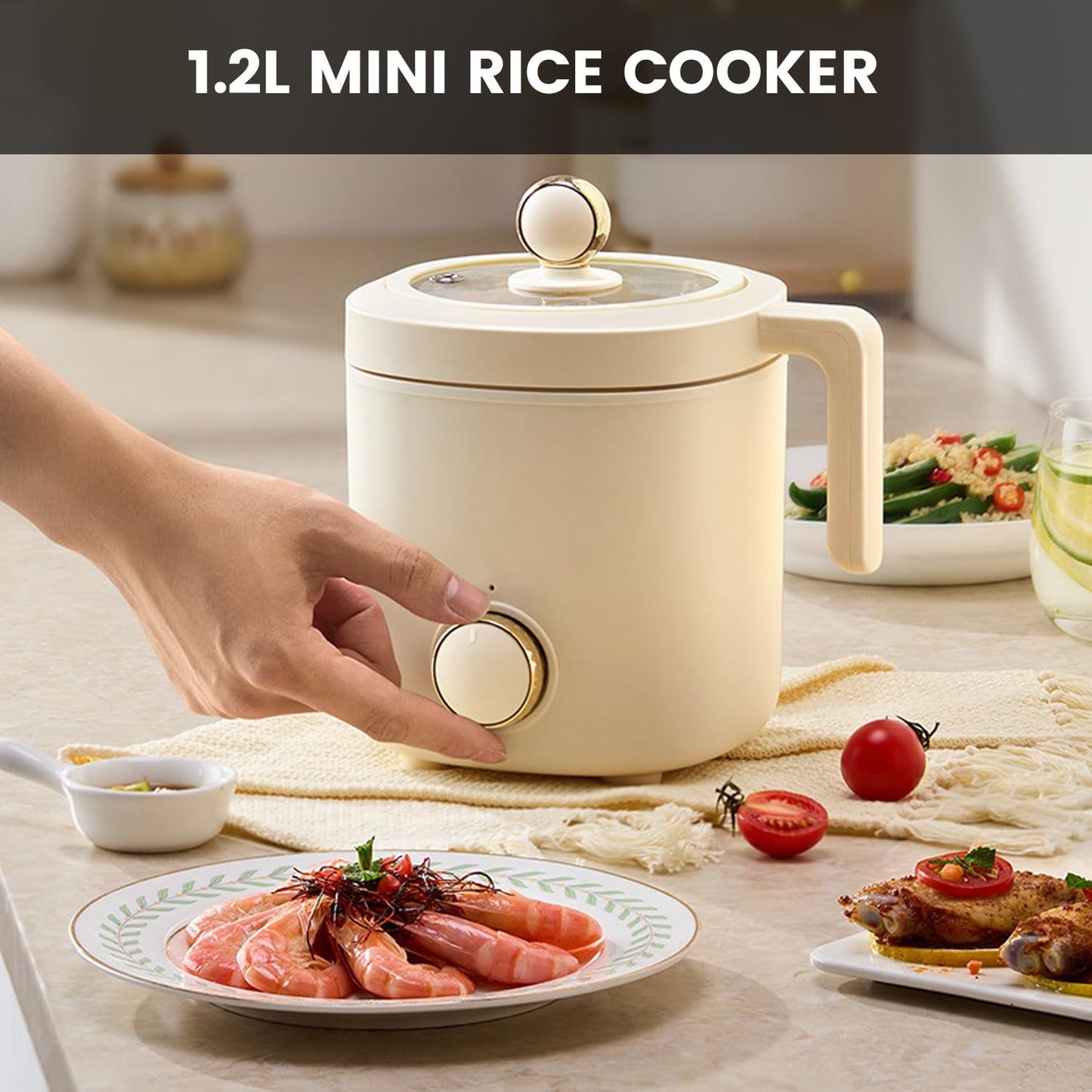 Portable Electric Mini Travel Cooker