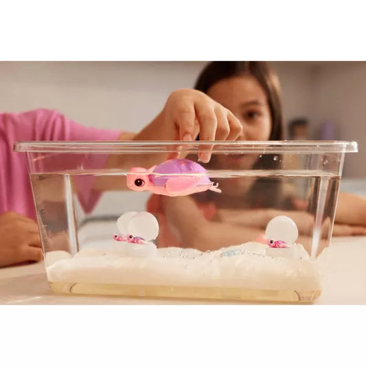 Baby Turtle Beach Surprise