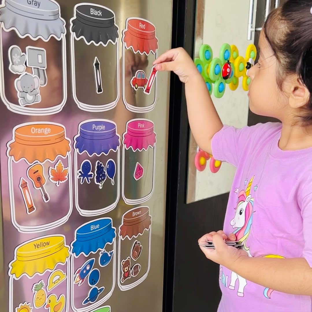 Magnetic Color Sorting Toy