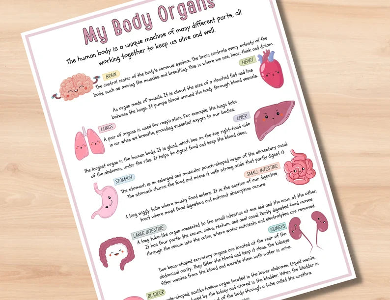Human Anatomy Busy Book