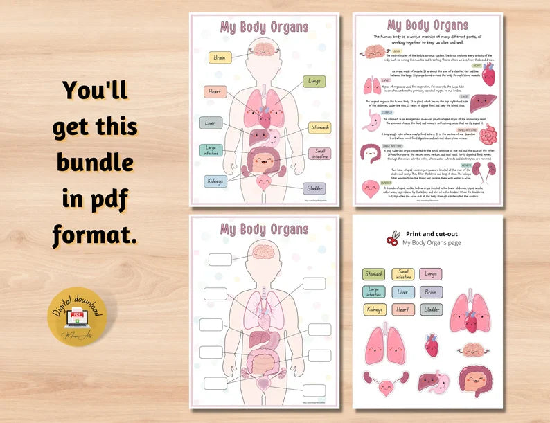 Human Anatomy Busy Book